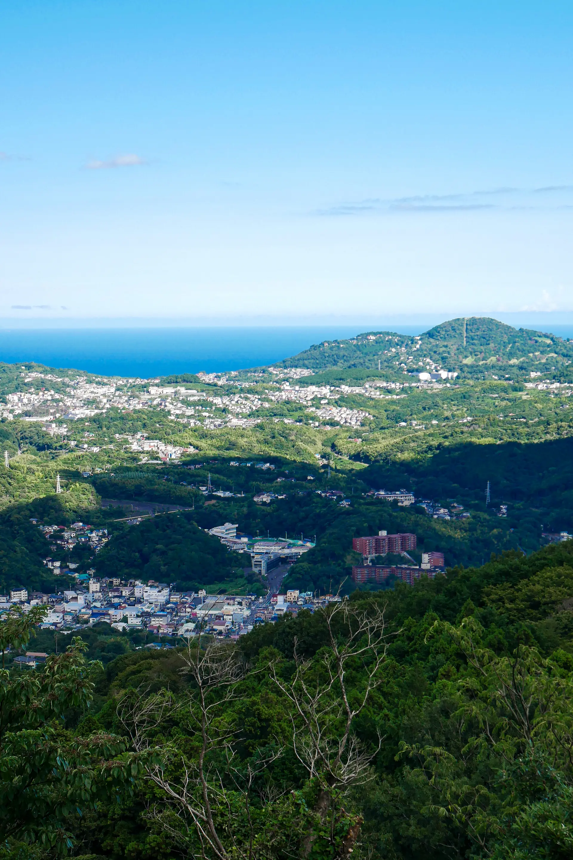 別荘地内から見た小室山